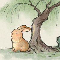 87年属兔男2022年事业运 上级认可运势明朗