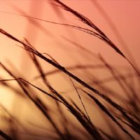 与12个星座的中年财运交谈:谁会迟到?