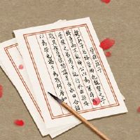 公司名称为马匹名叫马匹