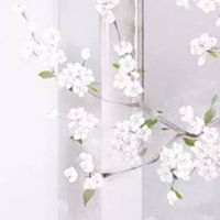 耳朵没有耳垂真的命苦吗 做事时常不如意