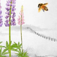 清明节上坟时间有什么讲究 此节日扫墓流程介绍