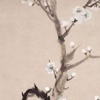 2022年5月3日出生的女孩子命好不好 贵人相助 温暖有爱