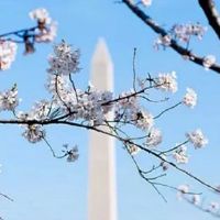 养殖场取个什么名字最好 最新高级起名大全