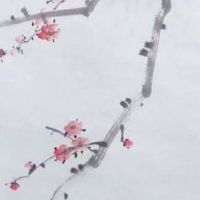 注定有钱的手相 手指间没有缝隙必成大器