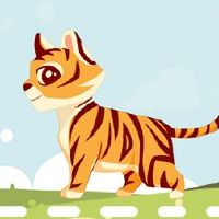 老虎和猴子之间的婚礼匹配怎么样?