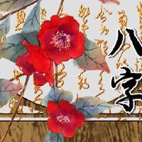 是郑玉树男人吗?责任心是好的