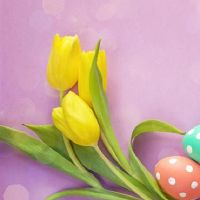 占星术骑士12星座2022年4月感情