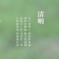 2022清明节日杀害了吗?铭霉节是适合顶部的坟墓吗?