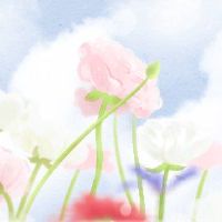 什么样的“冬瓜,胡椒,芹菜”