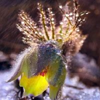 当我不爱的时候,我爱的最热情的星座,谁在那里?