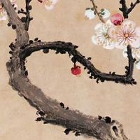 95属猪女生命中注定要嫁的人 姻缘天注定