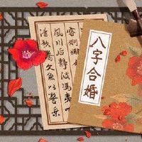 食品神，其他一半的金融，女性财富