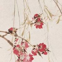 10个簸箕的含义 10簸箕婚姻幸福