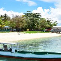 详细解释嘉文诞生的命运，是acheng出生的人？