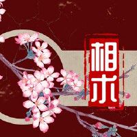 妇女的脸解释了Dakamarte损害事业