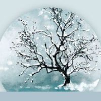 小满养生吃什么 清淡饮食适当进补