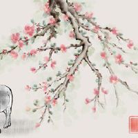 这是一个不是婴儿的婴儿,什么是同伴