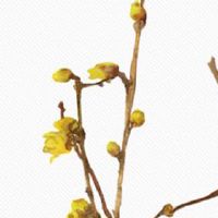 养殖业公司起名大全 盘点朗朗上口企业名字