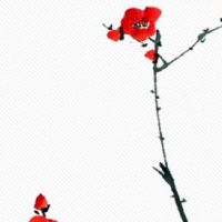 女人身上有仙家的危害 经常做奇怪的梦