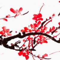 耳朵小的男人不能嫁 家庭责任心差自私薄情