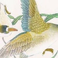 手机号最旺财的尾数5231 最吉利有好运靓号数组