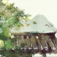 八字缺火女旺事业 头脑清醒严肃鲜有热情