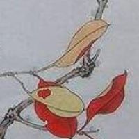 女人手机尾号是26好不好 可改运吉利手机号