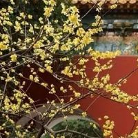 2022年5月份属龙人爱情运势发展详解 有桃花运的机遇吗