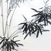 2022年6月9日出生属虎女孩生辰八字性格详解 富有福分 业界精英