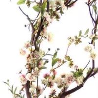 养殖设备公司起名2022 养殖场企业发展好名大全