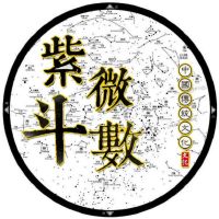 天马星在迁移宫代表什么意思?