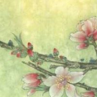 食品厂取名字大全 吉利有价值旺铺起名