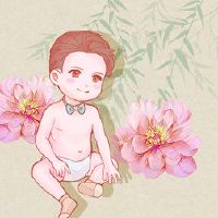 绵羊男孩在哪里，出生是最好的，出生是滚动的。