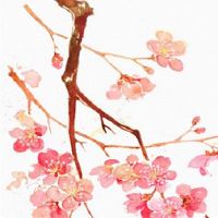 2022年芒种是哪天 2022年芒种具体时间盘点