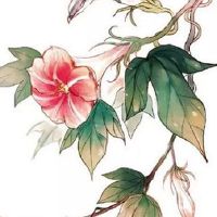 2022年芒种后九天交运怎么算 第九天交运包括第九天吗