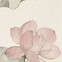 紫微斗数看流年姻缘 流年命宫有贪狼庙旺喜结连理