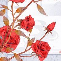 5月，没有担心，财富是不变的，财富非常受欢迎。