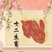 男人眼里的狐狸精生肖女 温文尔雅的属兔女