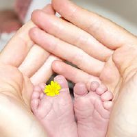 刚出生的婴儿出生于2022年,刚出生的婴儿的名字是什么?