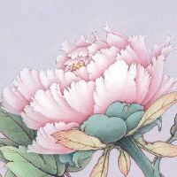 取店名的好字有哪些 独特有创意的旺店