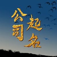 基金公司的名字吉利航空公司名称