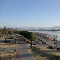 河流堤防的梦想