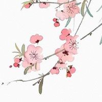 2022年芒种领证好吗 芒种节气宜领结婚证