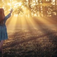 面对混乱，我该怎么做12个星座？