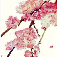 2022年芒种这一天可以结婚吗 芒种节前后结婚好不好
