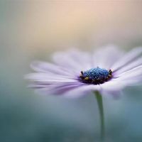 最苦涩的三大星座，努力工作，但不明白