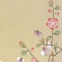 为什么中国人忌讳14这个数字 汽车号码的易经解读