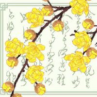 哪种女命会得男人财 官印相生婚运好