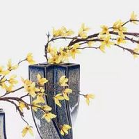 一斗穷二斗富指纹算命 几个斗纹是富贵相