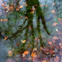 Scorpio希望灵魂伴侣害怕伤害成千上万的星座的单一原因